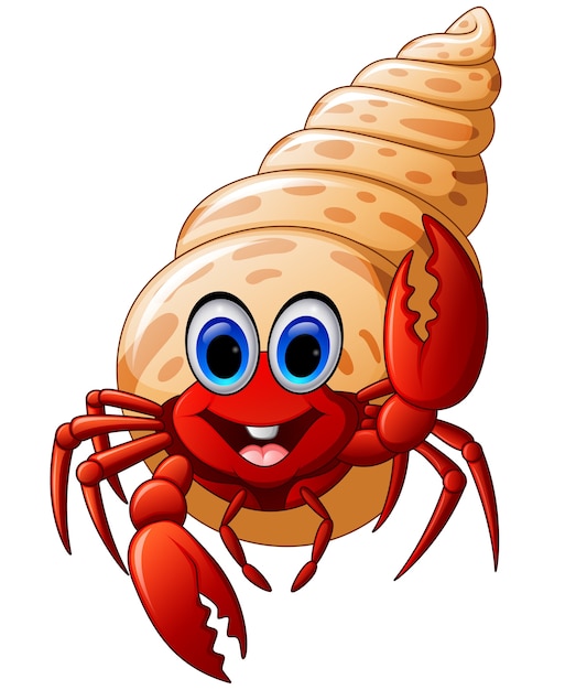 Cartoon hermit crab