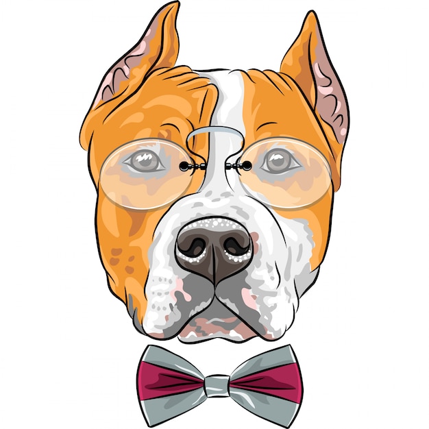 cartoon hipster dog American Staffordshire Terrier