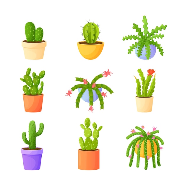 Cartoon home cacti in pots Cactus plant succulent flower garden flowerpot prickly houseplant mexican exotic green plants with thorns set flat exact icons vector illustration