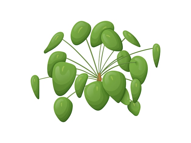 벡터 흰색 배경에 고립 된 만화 집 식물 pilea 잎