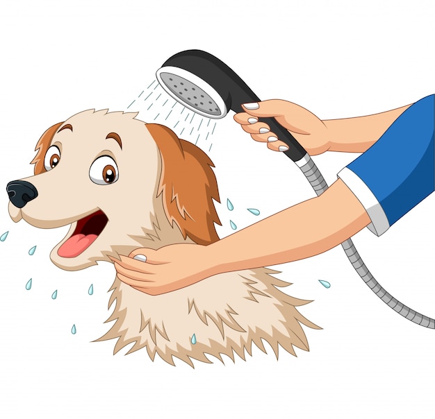 Cartoon hond baden met douche