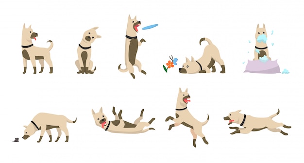 Cartoon hond set