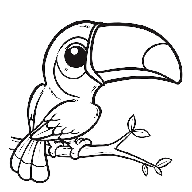 Vector cartoon hornbill coloring book for kids