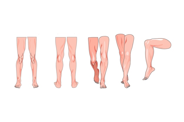 Un cartone animato di un'illustrazione vettoriale di gambe e gambe umane