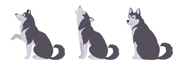 Cartoon husky cucciolo di husky domestico carino che gioca seduta e ululando set di illustrazioni vettoriali piatte husky