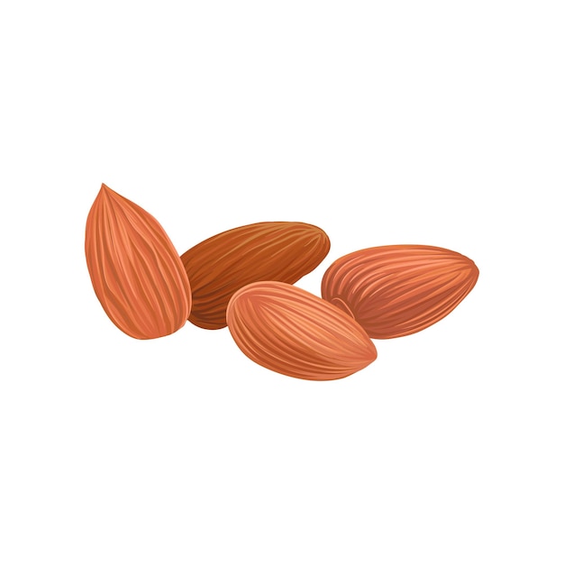 Vector cartoon icon of dried almond nuts in brown shell healthy food tasty vegetarian snack organic product culinary ingredient detailed vector design