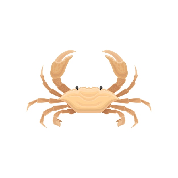 Cartoon-icoon van beige krab met vijf paar benen Zeedier met grote klauwen Zeedier Element voor restaurantmenu of promo flyer Kleurrijk vlakke vectorontwerp geïsoleerd op witte achtergrond