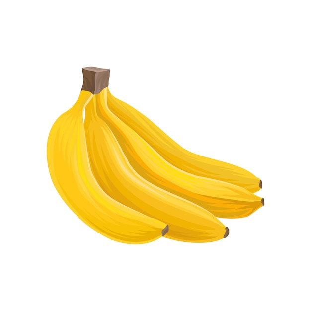 Cartoon icoon van vier zoete bananen Gezond eten Heerlijk tropisch fruit Ontwerpelement voor print SAP verpakking of promo flyer Gedetailleerde platte vectorillustratie