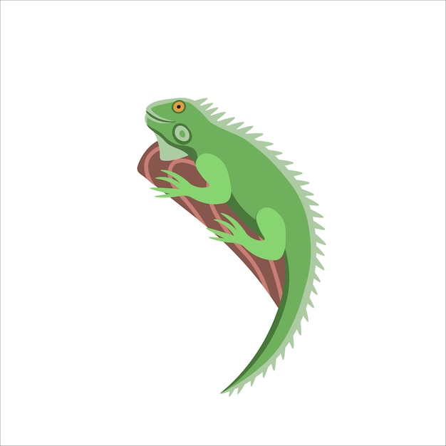 Cartoon iguana on a white backgroundflat cartoon illustration for kids