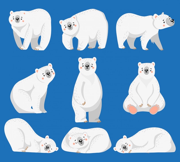 Vector cartoon ijsbeer. witte beren, arctische wilde dieren en sneeuw dragen illustratie