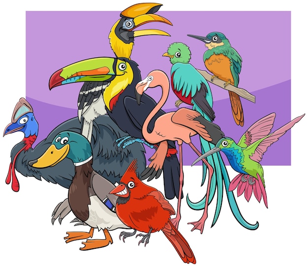 Vector cartoon illustratie van grappige vogels komische dierlijke karakters groep