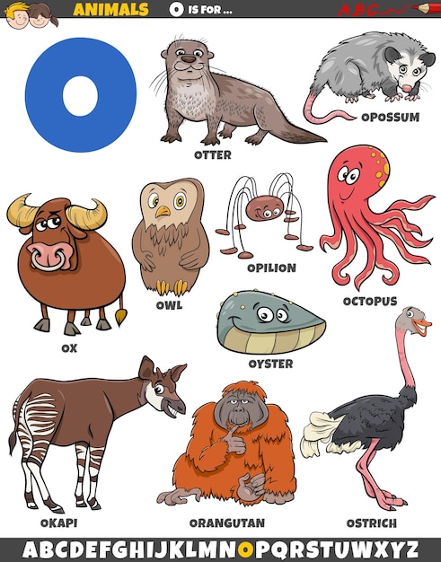 Vector cartoon illustration of animal characters set for letter o