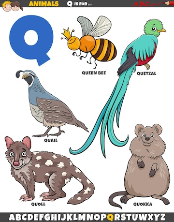 Premium Vector | Cartoon illustration of animal characters set for letter q  coloring page