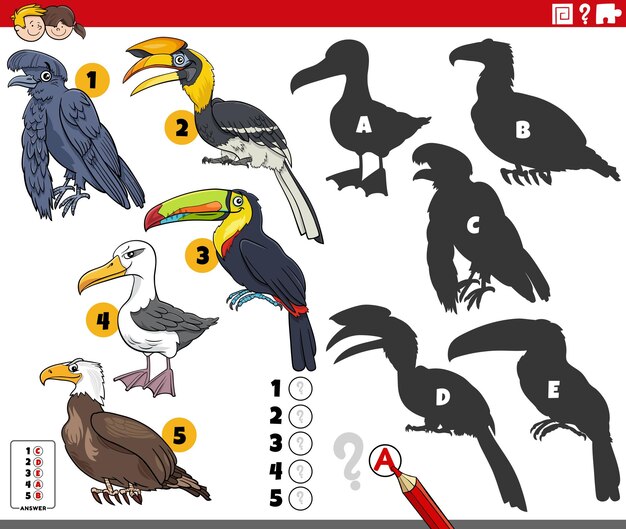 Cartoon illustration of finding the right shadows to the pictures educational game with birds animal characters