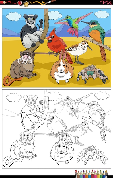 Vector cartoon illustration of funny animals comic characters group coloring book page