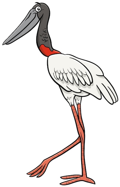 Cartoon illustration of funny jabiru bird comic animal character