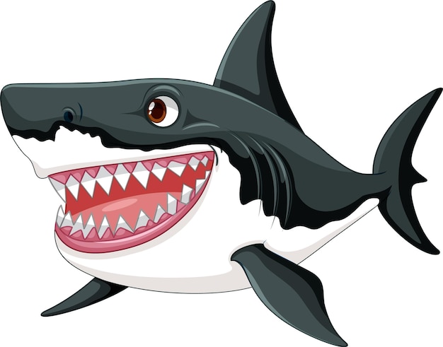 Vector a cartoon illustration of a great white shark with big teeth sw