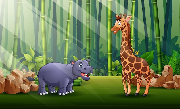Cartoon illustrazione di illustrazione di ippopotami e giraffe che vivono nella foresta