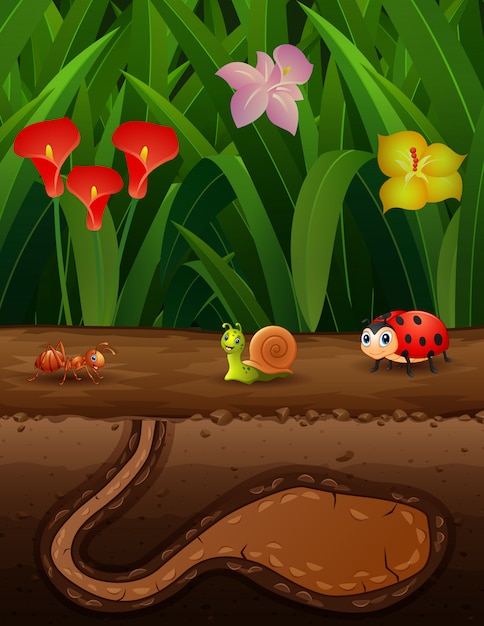 Vector cartoon illustration of insects in the ground