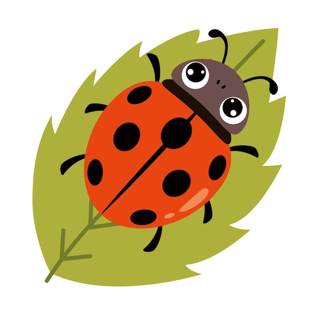 Cartoon Illustration Of A Ladybug