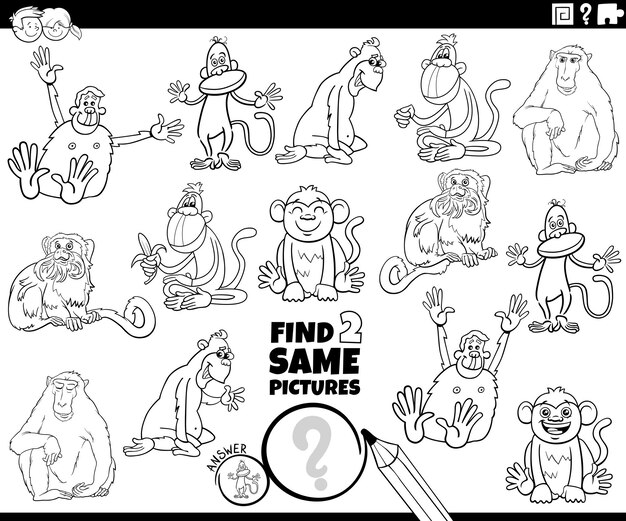 ベクトル 猿を使った教育活動の2つの同じ絵を見つける漫画イラストをカラーページに