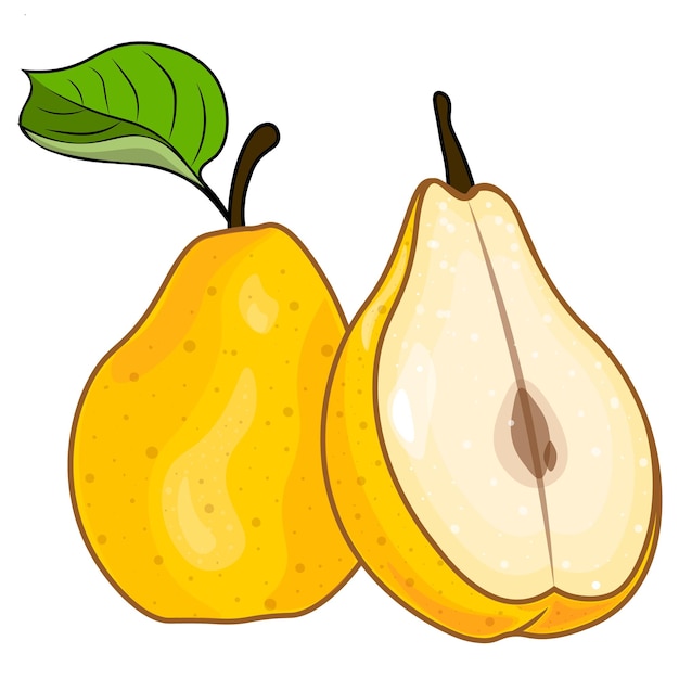 cartoon illustration of a pear, juicy pear halves