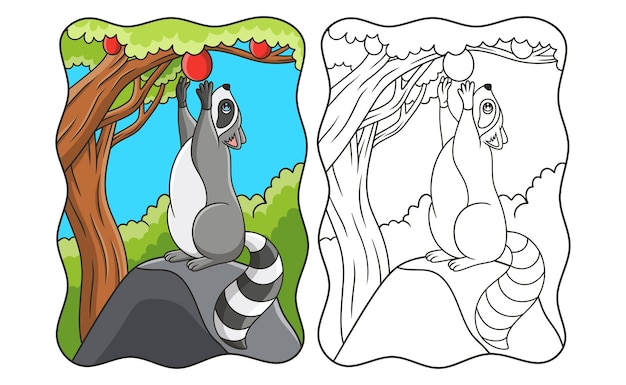 Il procione dell'illustrazione del fumetto è in piedi su una grande roccia nel mezzo della foresta e raccoglie le mele sul libro dell'albero o sulla pagina per i bambini
