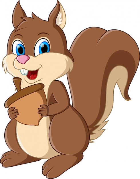 Cartoon illustration squirrel holding acorns