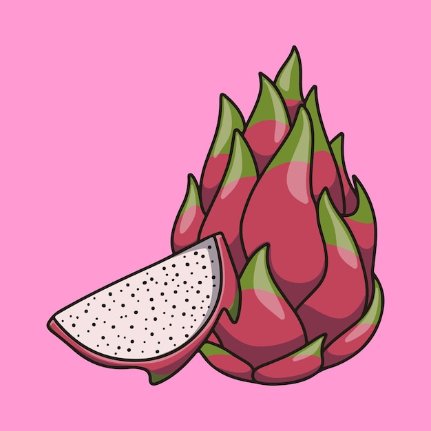 Vector cartoon illustration of whole and half white dragon fruit