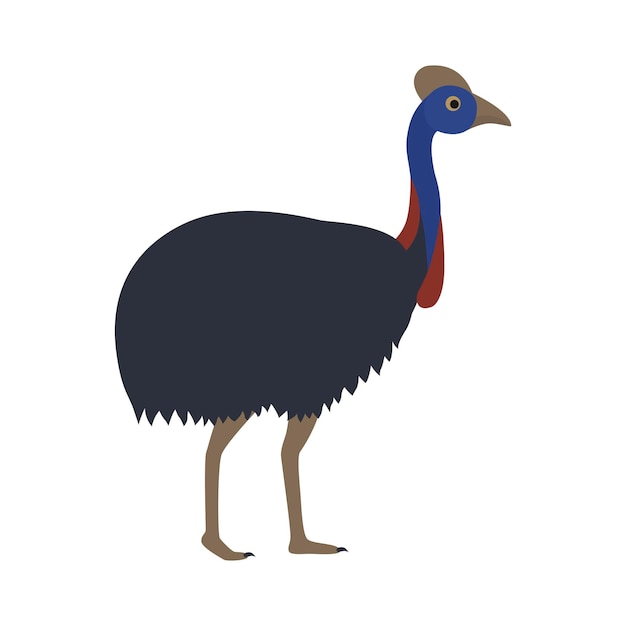 Vector a cartoon image of an emu with a blue face and a yellow beak.