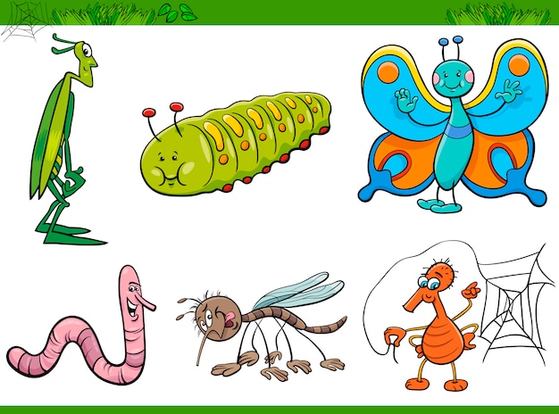 Vector cartoon insect characters set