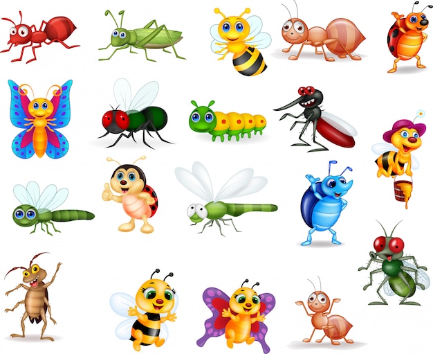 Cartoon insect collection