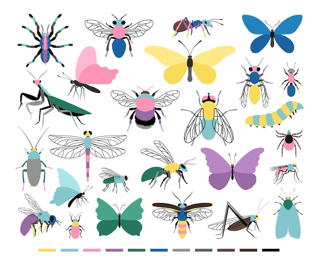 Cartoon insect set. cute small creatures of entomology science, vector illustration of colored caterpillars and butterflies icons isolated on white background