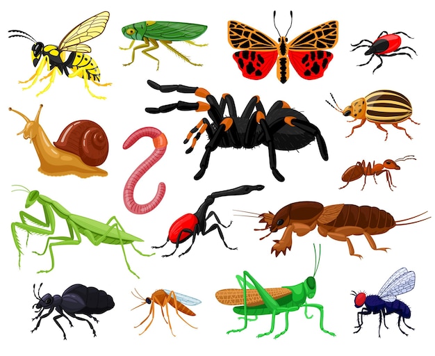 Cartoon insecten. Hout en tuin schattige insecten, vlinder, rups, spin, lieveheersbeestje en wesp. Bugs insecten mascottes instellen. Mug en vlinder, worm en libel
