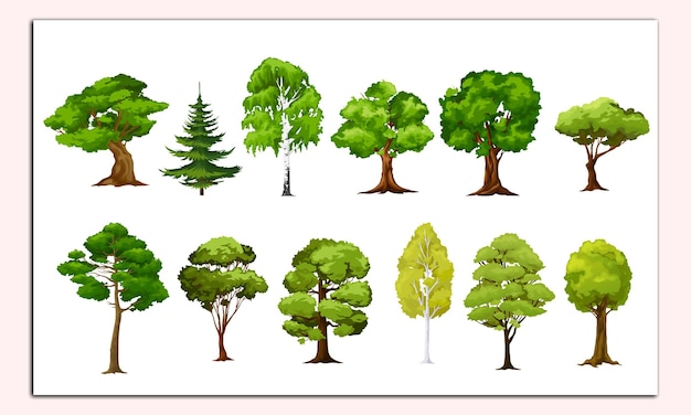 Alberi vettori isolati della foresta e del giardino in cartone animato