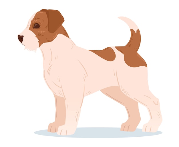 Cartoon jack russell terrier Cute hunting dog jack russell terrier breed purebred domestic pet flat vector illustration