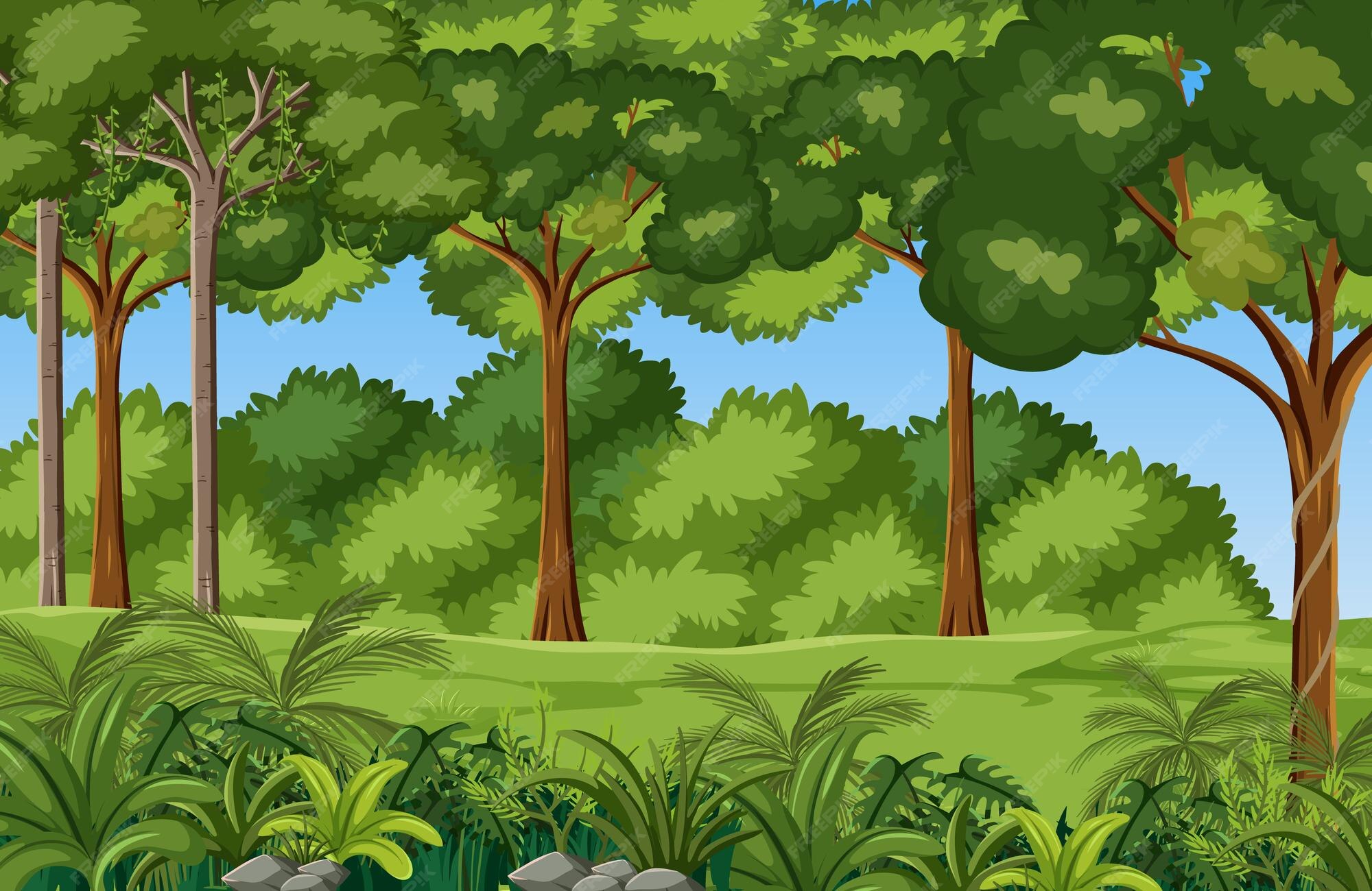 Jungle 画像 無料のベクター ストックフォト Psd