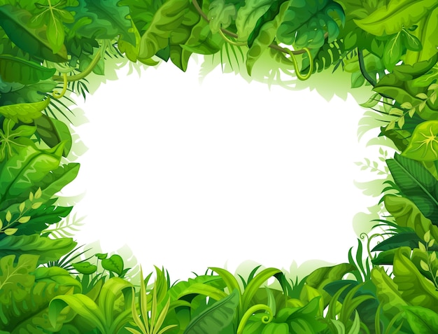 Vector cartoon jungle plants leaves frame or backdrop