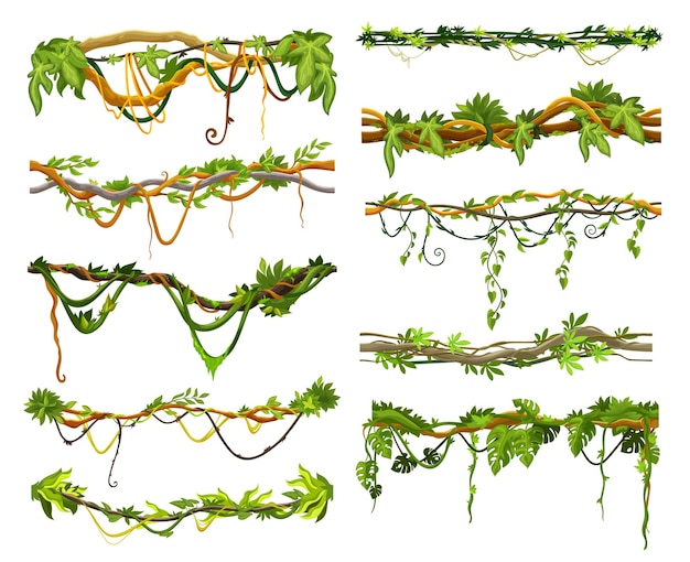 Cartoon jungle tropical liana branch vines plants