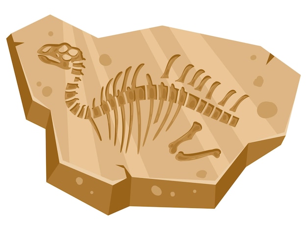 Cartoon jurassic dino ancient archeology fossil flat vector illustration on white background