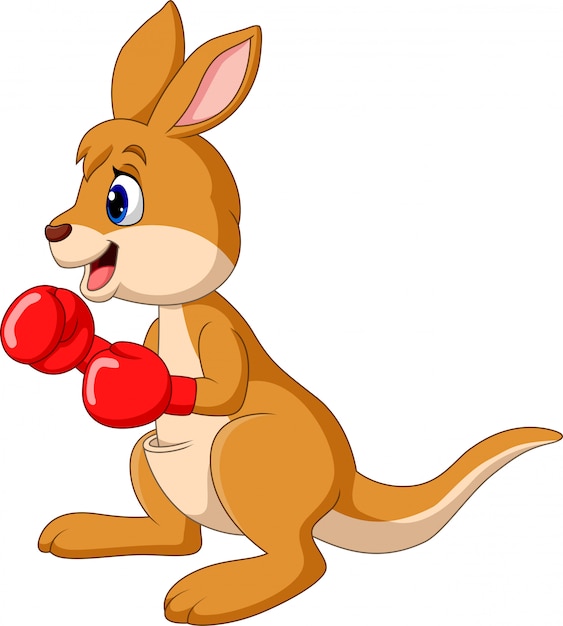 Cartoon kangaroo boxing isolated on white background