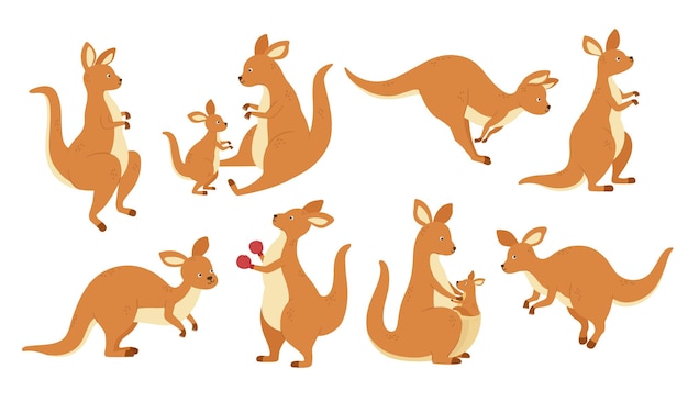 漫画のカンガルーのマスコットさまざまなポーズでオーストラリアの動物のカンガルーをジャンプベクトルセット