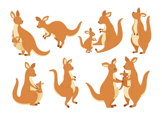 Cartoon kangoeroe familie moeder wallaby met baby in zak australië buideldier en kangoeroes in verschillende poses vector illustratie set