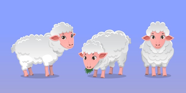 Vector cartoon karakter schapen bundel illustratie
