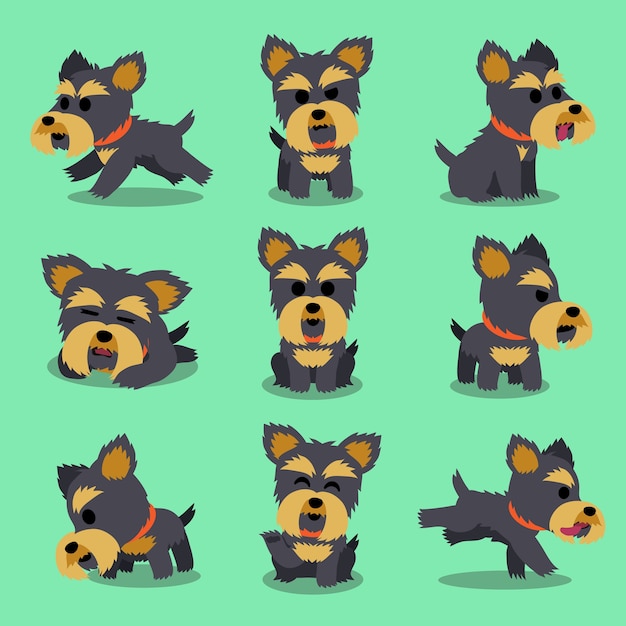 Vector cartoon karakter yorkshire terrier hond vormt