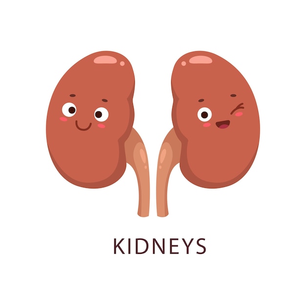 Cartoon kidneys human bogy organ comical character