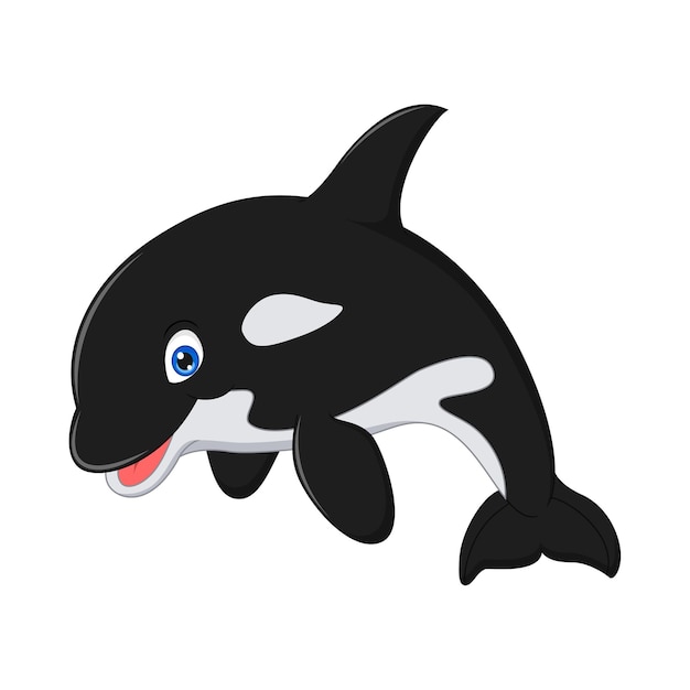 Cartoon killer whale isolated on white