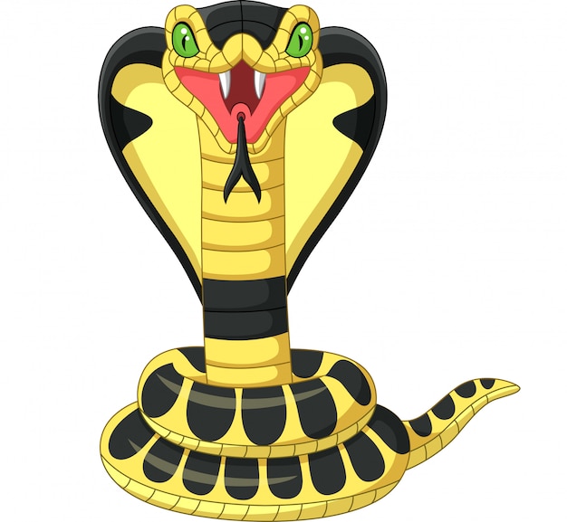 Vector cartoon king cobra snake mascot