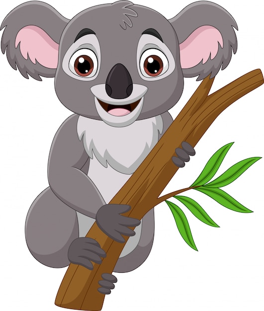 Vector cartoon koala on a tree branch