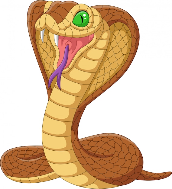 Cartoon koning cobra slang geïsoleerd